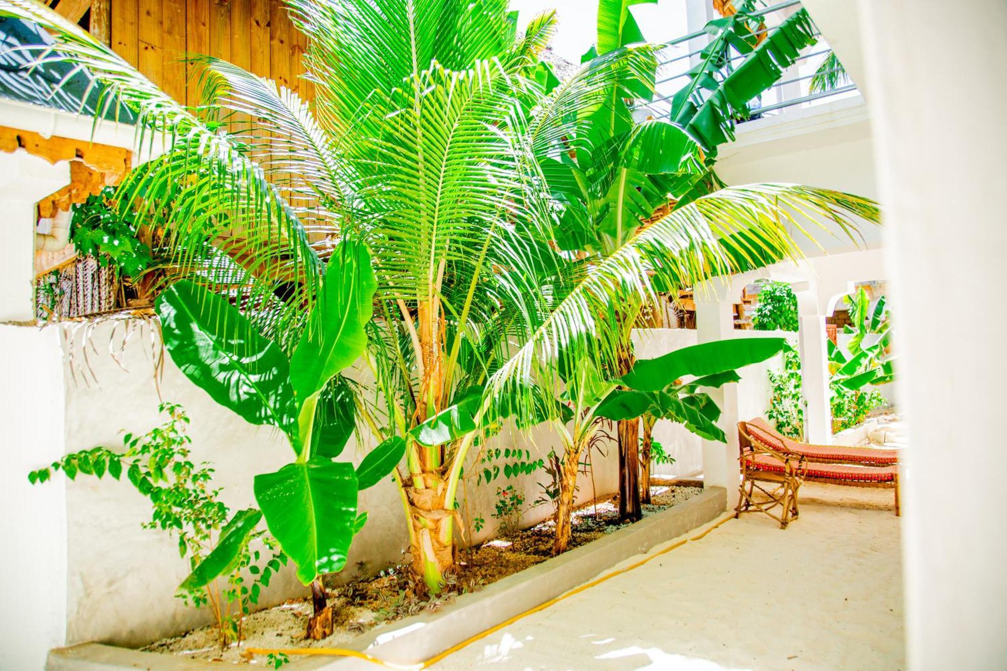 Pamoja Beach Stays Hotel In Jambiani Jambiani  Eksteriør bilde